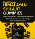 shilajit-gummies-for-men-women-3000mg-pu-2.jpg
