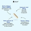 collagen-supplements-for-women-men-marin-2.jpg