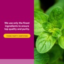 natural-factors-oil-of-oregano-liquid-an-5.jpg