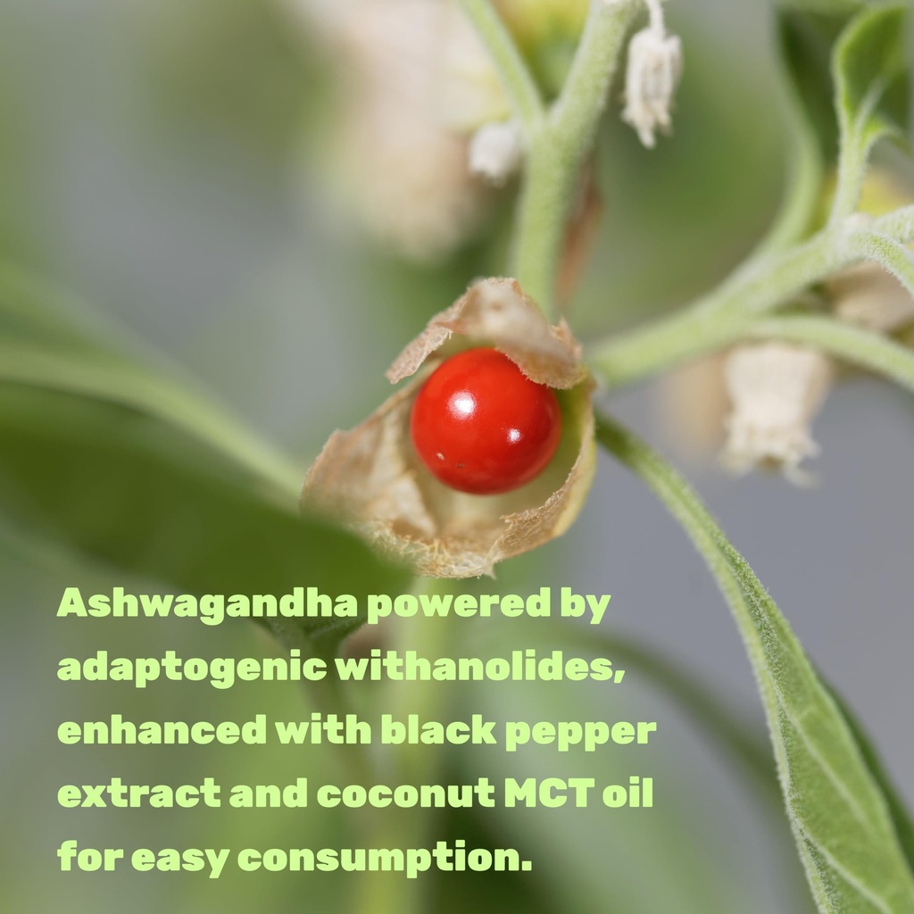 deal-supplement-ashwagandha-extract-with-4.jpg