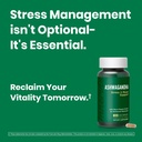 ashwagandha-500mg-stress-relief-mood-bal-2.jpg