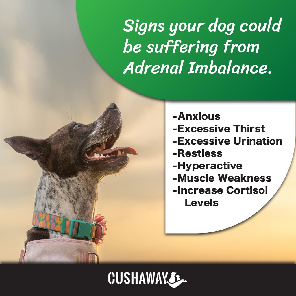 cush-away-cushing-s-disease-all-natural--5.jpg