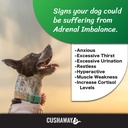 cush-away-cushing-s-disease-all-natural--5.jpg