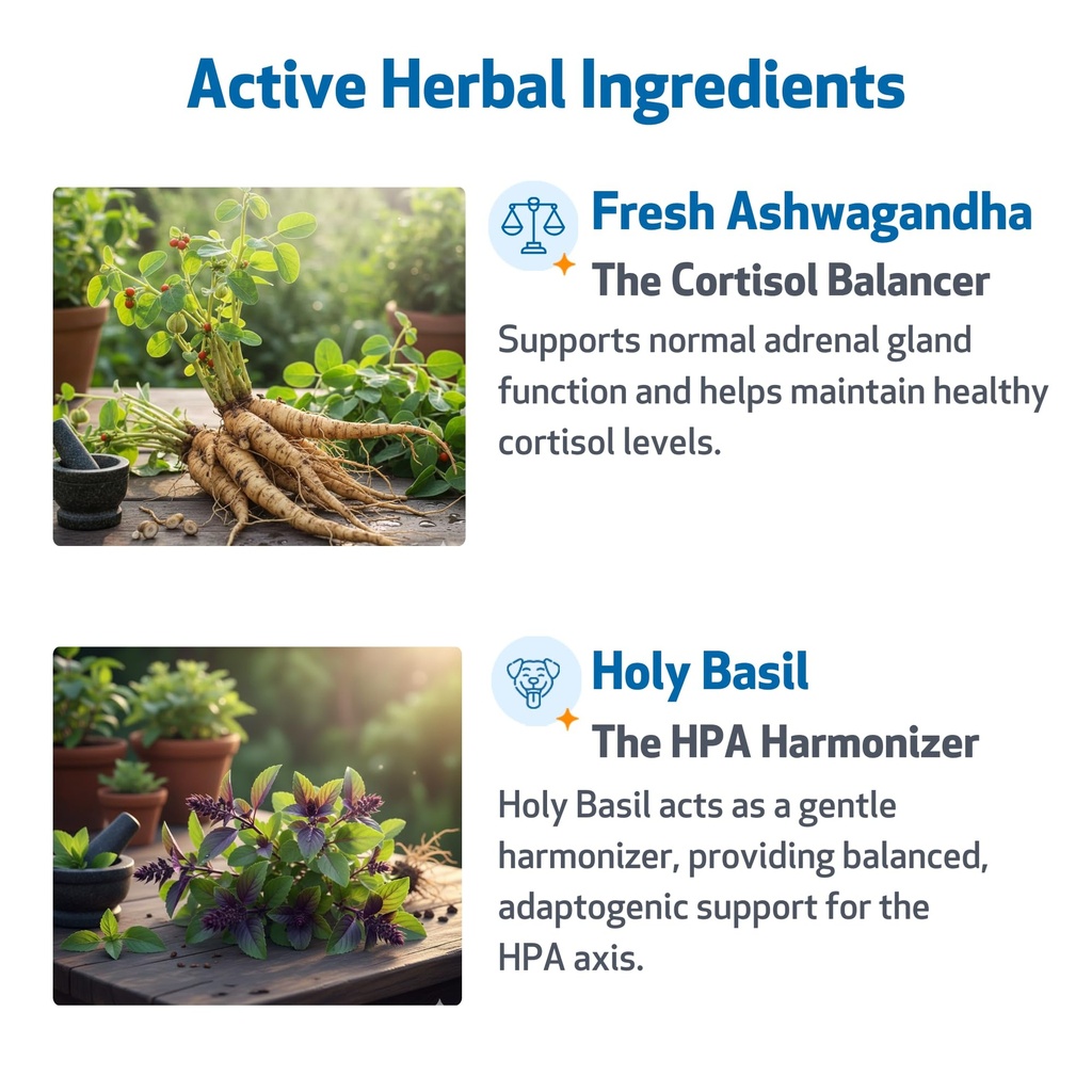pet-wellbeing-adrenal-harmony-gold-for-d-3.jpg