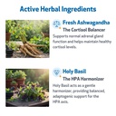 pet-wellbeing-adrenal-harmony-gold-for-d-3.jpg