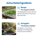 pet-wellbeing-adrenal-harmony-gold-for-d-4.jpg
