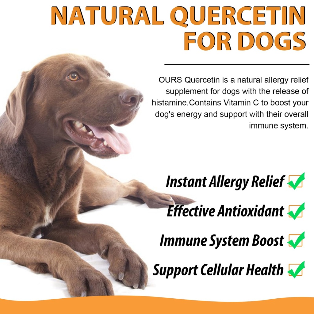 quercetin-for-dogs-dog-quercetin-liquid--4.jpg