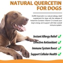 quercetin-for-dogs-dog-quercetin-liquid--4.jpg