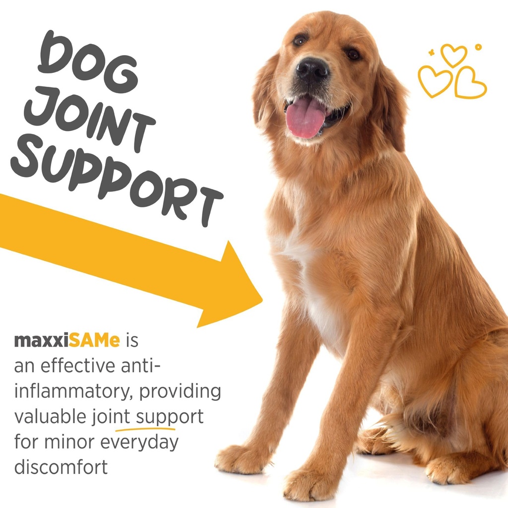 maxxipaws-maxxisame-advanced-sam-e-powde-4.jpg