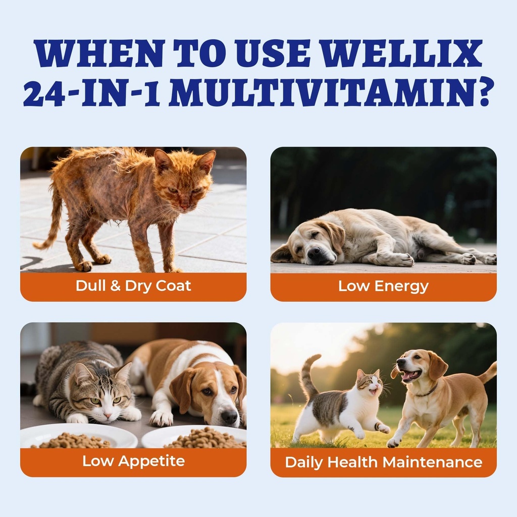 wellix-4-06-fl-oz-24-in-1-liquid-multivi-4.jpg