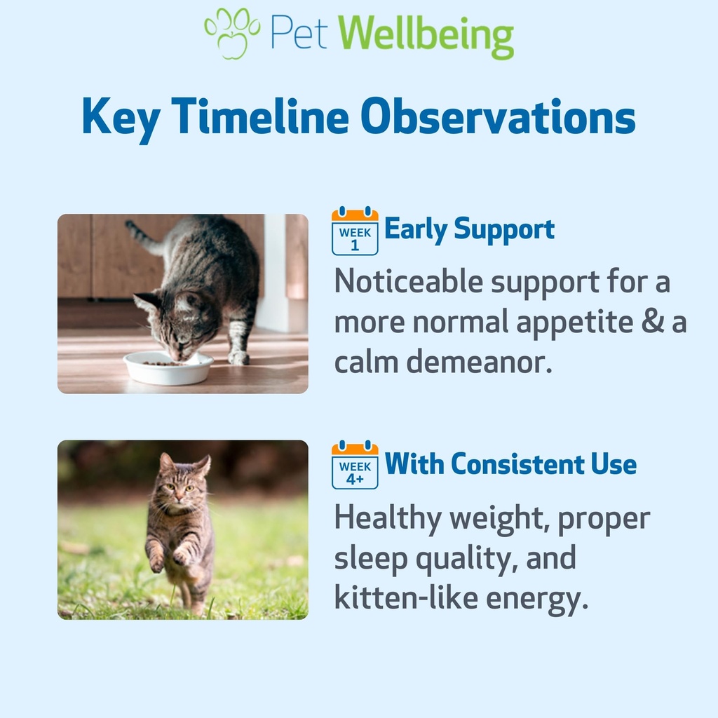pet-wellbeing-thyroid-support-gold-for-c-5.jpg