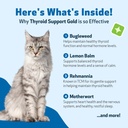 pet-wellbeing-thyroid-support-gold-for-c-4.jpg