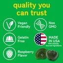 kwala-nutrition-super-greens-gummies-wit-4.jpg