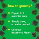 kwala-nutrition-super-greens-gummies-wit-5.jpg