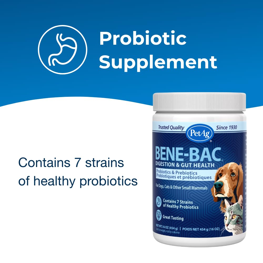 petag-bene-bac-1-lb-powder-probiotics-fo-3.jpg