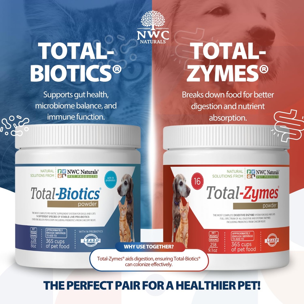 twin-pack-probiotics-and-digestive-enzym-2.jpg