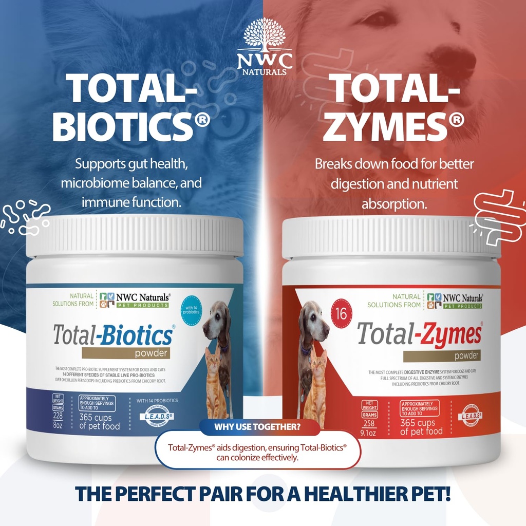 twin-pack-probiotics-and-digestive-enzym-4.jpg