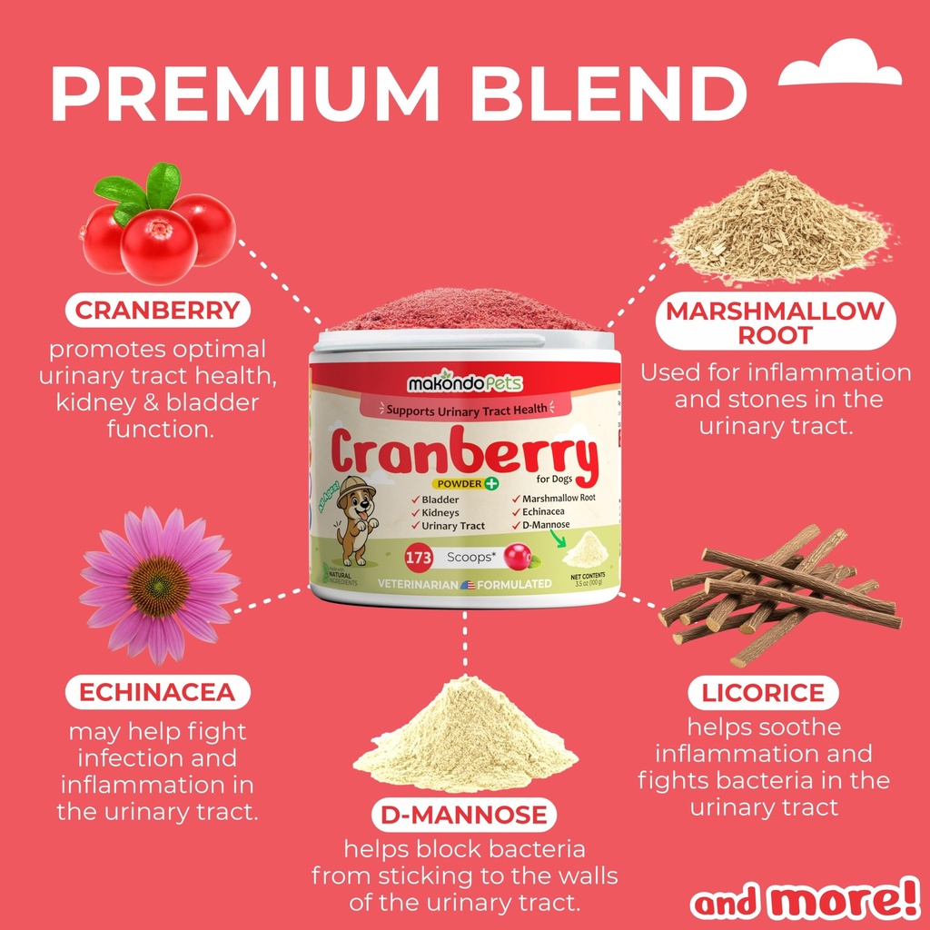 cranberry-supplement-for-dogs-cranberry--5.jpg