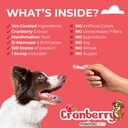 cranberry-supplement-for-dogs-cranberry--4.jpg