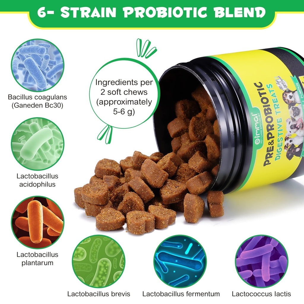 probiotics-for-dogs-digestive-health-dig-3.jpg