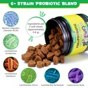 probiotics-for-dogs-digestive-health-dig-3.jpg