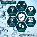 vegan-probiotic-plus-b12-fos-22-billion--5.jpg