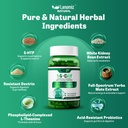 14day-appetite-craving-control-gut-healt-3.jpg