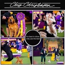 chris-christensen-mystic-ear-dog-ear-cle-2.jpg