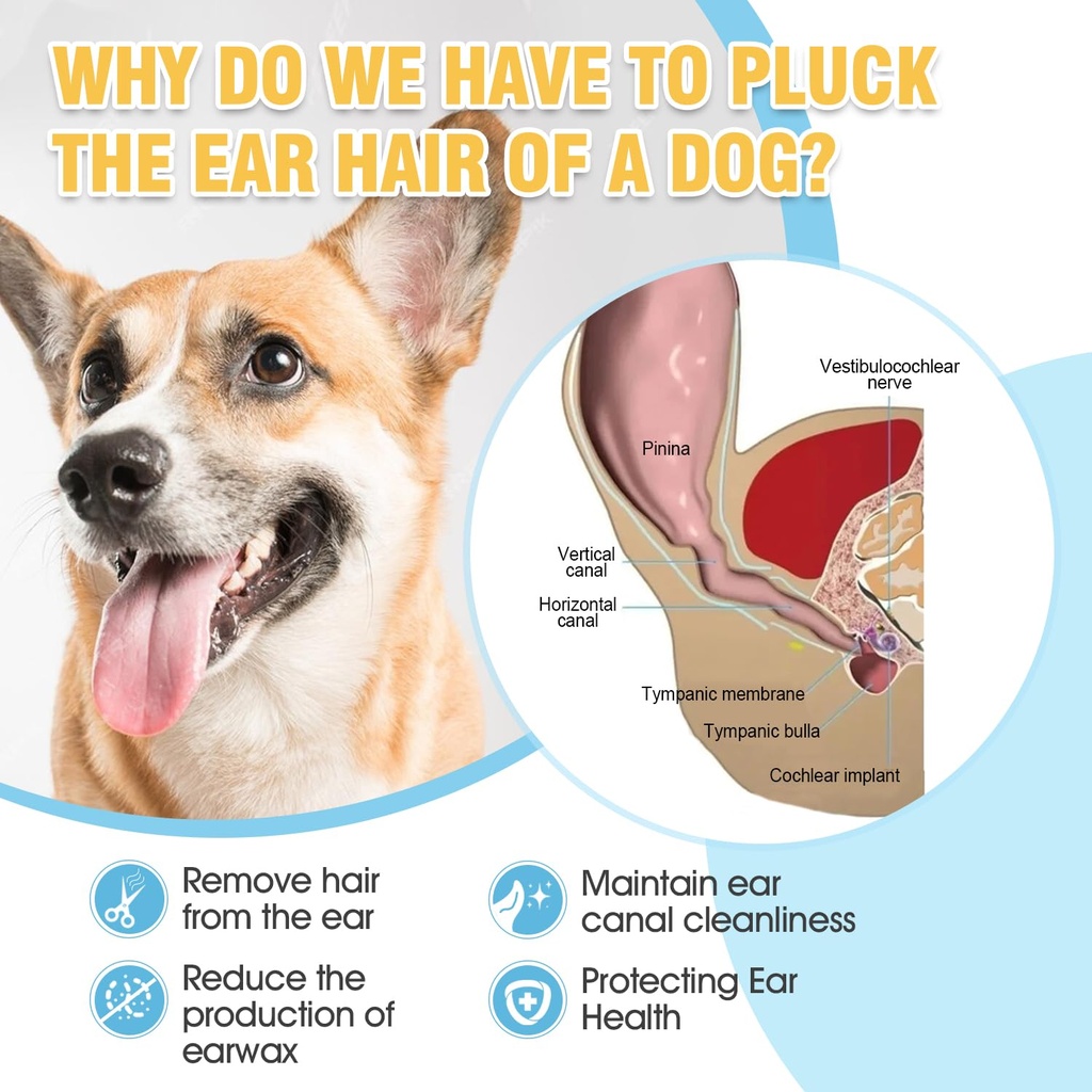dog-ear-powder-for-hair-removal-kit-42g--4.jpg