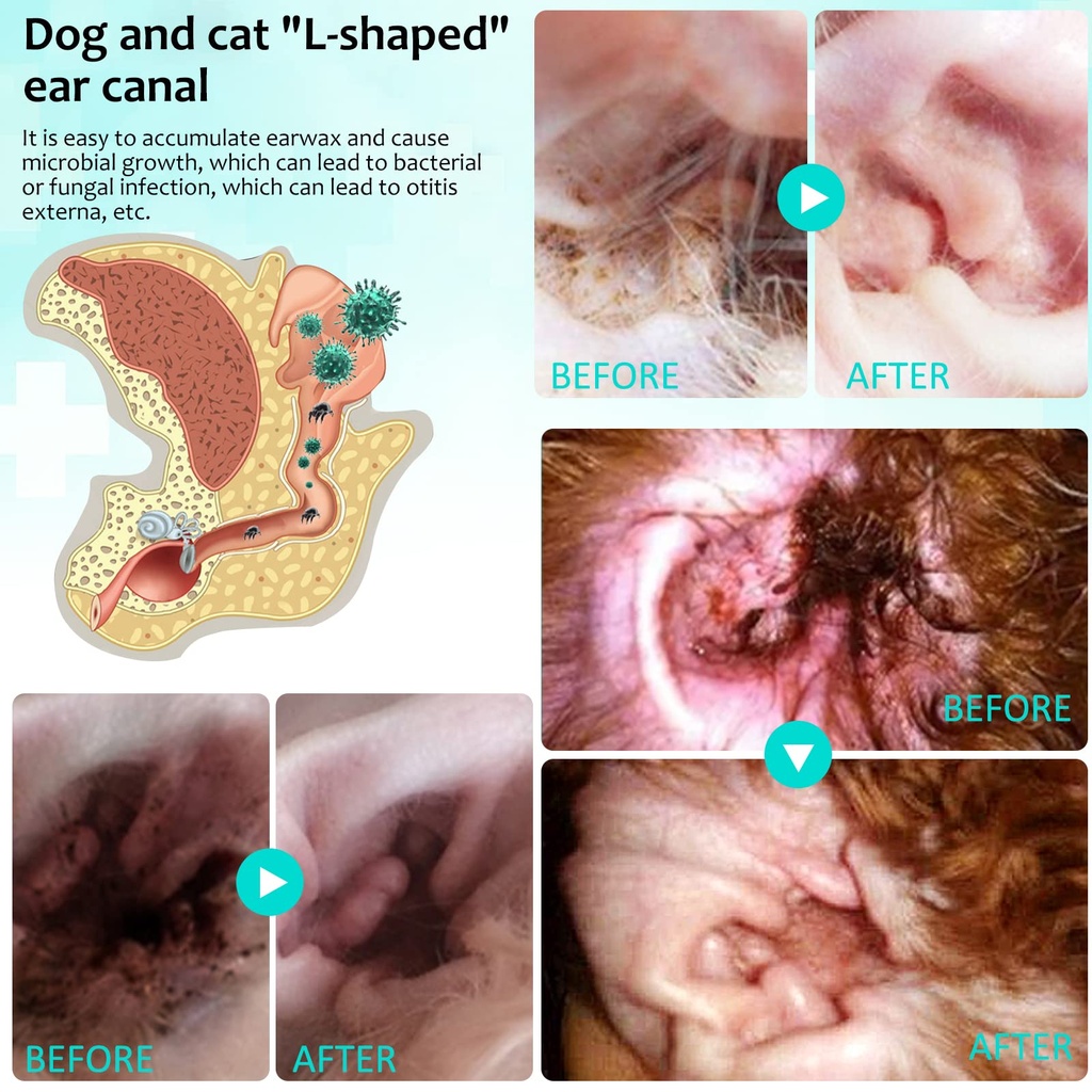 ear-mites-treatment-for-dogs-cats-cat-ea-6.jpg