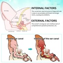 ear-mite-treatment-for-dogs-and-cats-ear-6.jpg