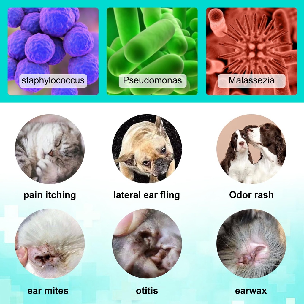 ear-mite-treatment-for-dogs-and-cats-ear-5.jpg