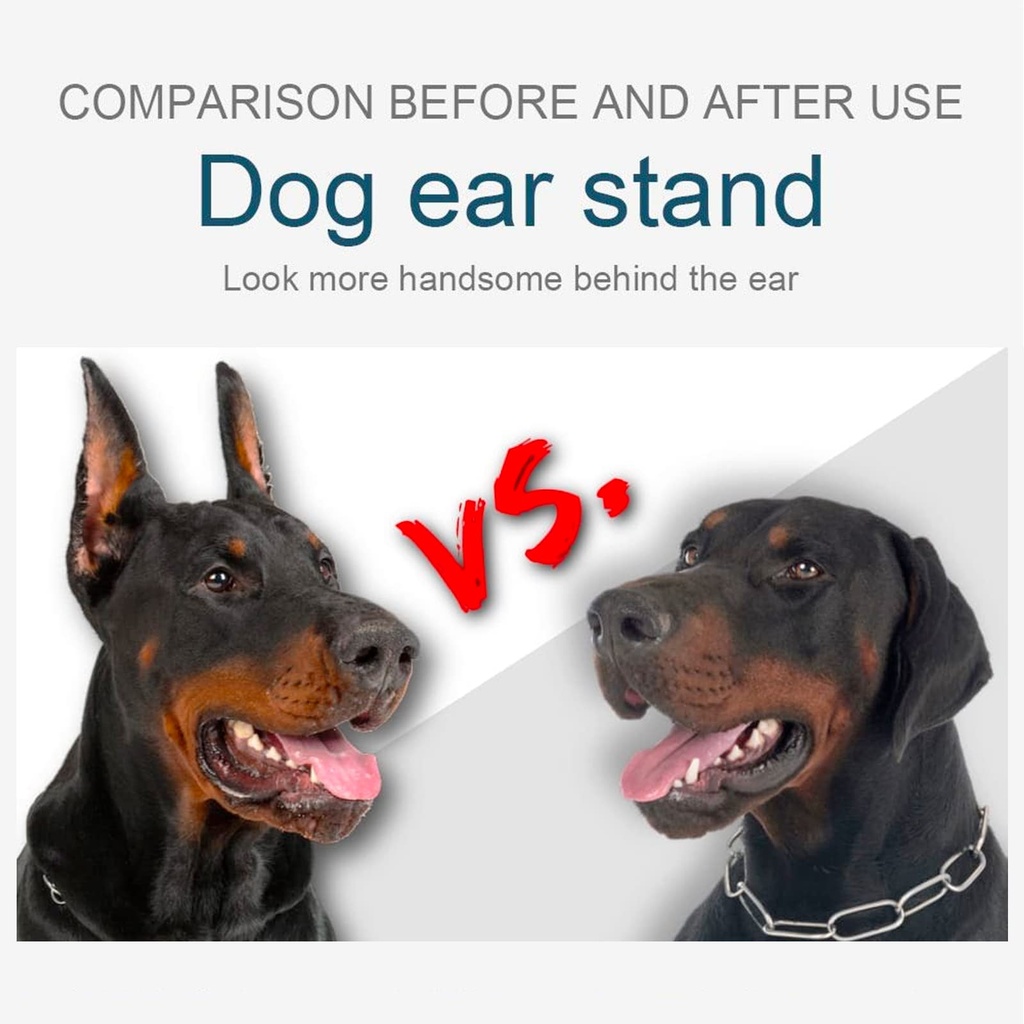 doberman-dog-ear-posting-kit-dog-ear-sta-3.jpg