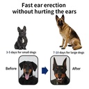 dog-ear-stand-sticker-up-support-tool-do-4.jpg