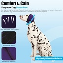 dog-ear-muffs-wrap-for-hematoma-bathing--2.jpg