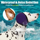 dog-ear-muffs-wrap-for-hematoma-bathing--3.jpg
