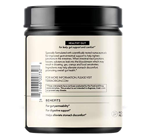 healthy-gut-matcha-green-tea-30-servings-3.jpg