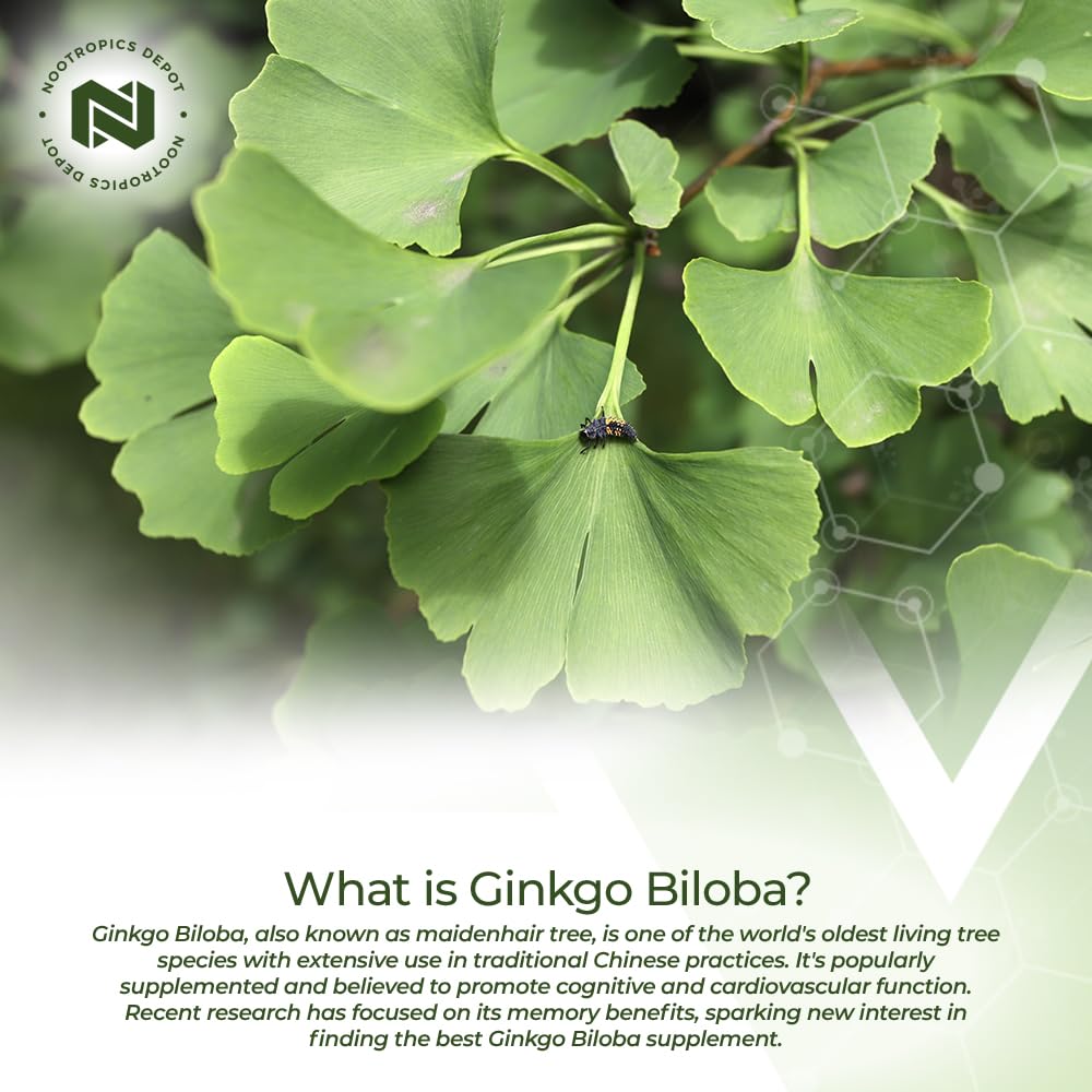 nootropics-depot-ginkgo-biloba-extract-t-5.jpg