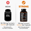 active-atoms-turmeric-extract-extra-stre-3.jpg