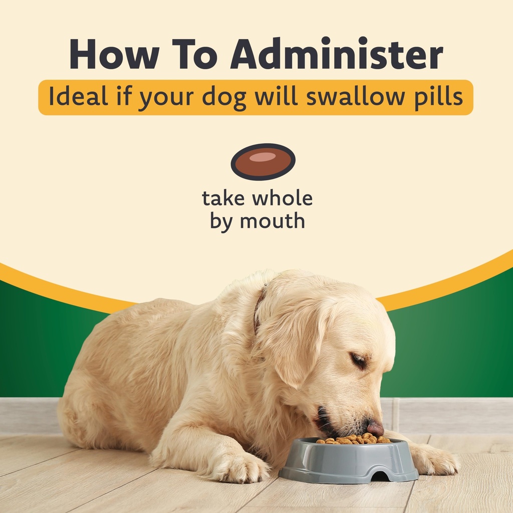 ocu-glo-vision-supplement-for-small-dogs-3.jpg