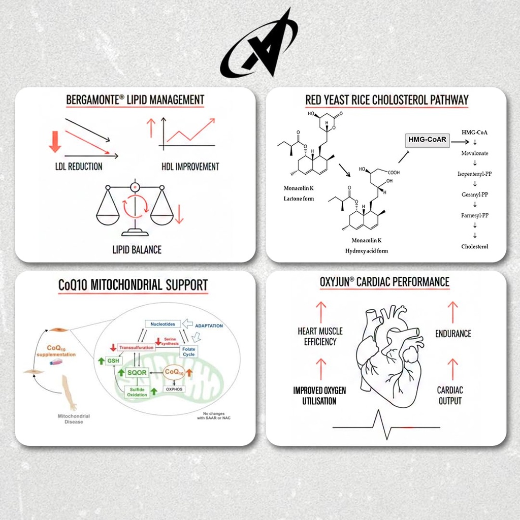 apollon-nutrition-full-of-heart-comprehe-6.jpg