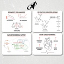 apollon-nutrition-full-of-heart-comprehe-6.jpg