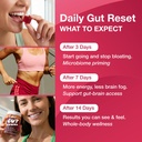 the-gut-gummy-gg360-bloating-relief-for--6.jpg