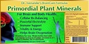 primordial-plant-minerals-drops-2-fl-oz--3.jpg
