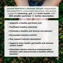 ascent-nutrition-ultimate-shilajit-natur-6.jpg