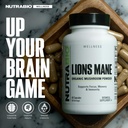 nutrabio-organic-lion-s-mane-mushroom-su-4.jpg
