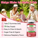 2-pack-ginkgo-biloba-gummies-with-panax--5.jpg