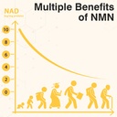 sublingual-nmn-500mg-max-absorbency-fast-2.jpg