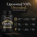 zyva-liposomal-nmn-supplement-500mg-supp-4.jpg