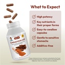 andrew-lessman-cinnamon-400mg-360-capsul-4.jpg